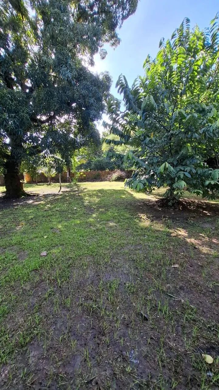 Terreno em benevides  - Foto 5