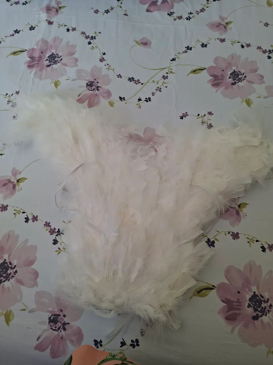 Asas de Anjo - Foto 2