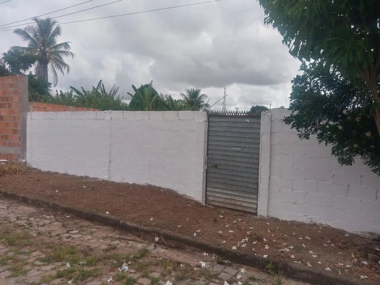 TERRENO PRÓXIMO A NOIDE - 139.000 - Foto 5