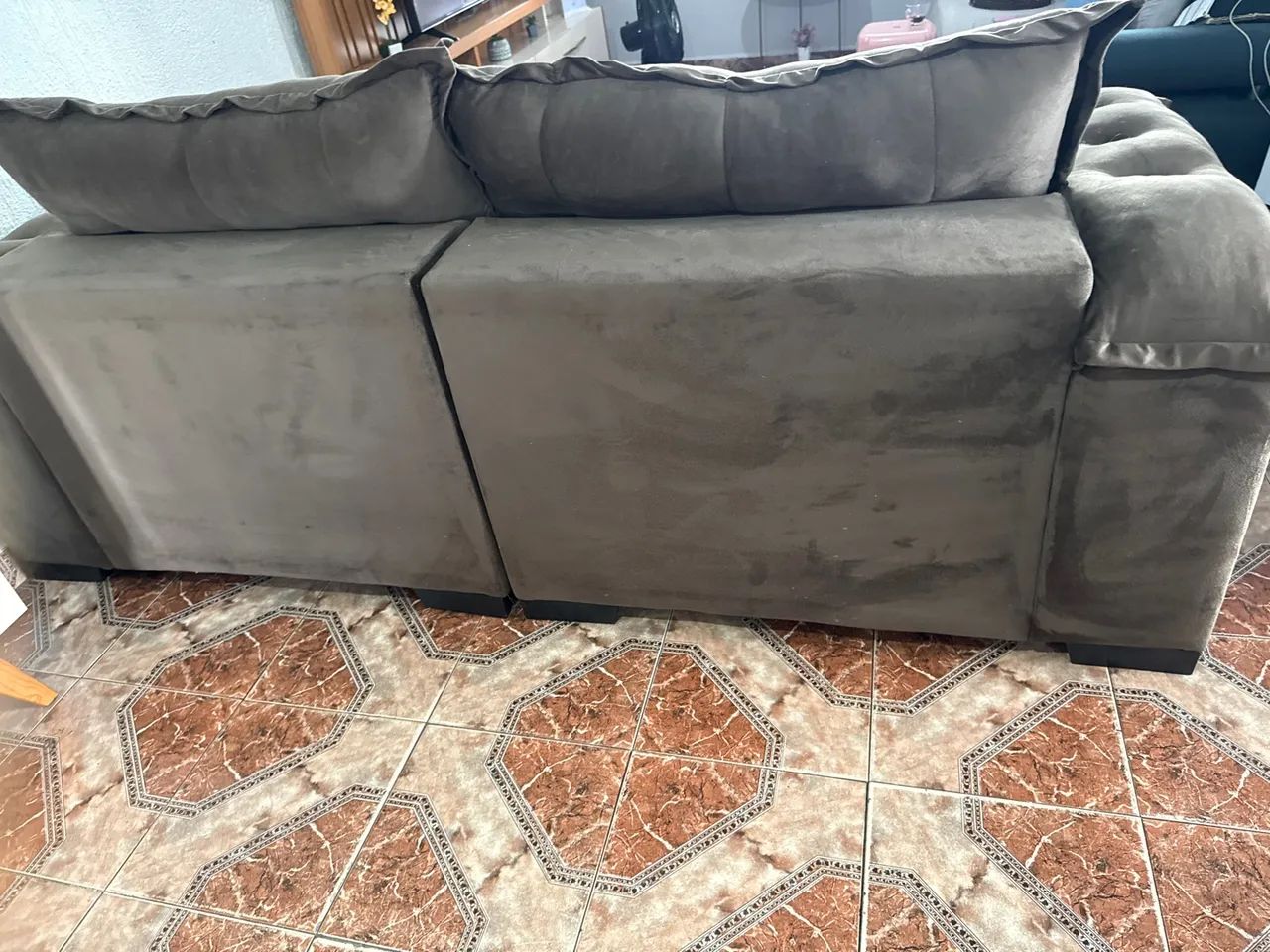 Ada seme novo - Foto 2