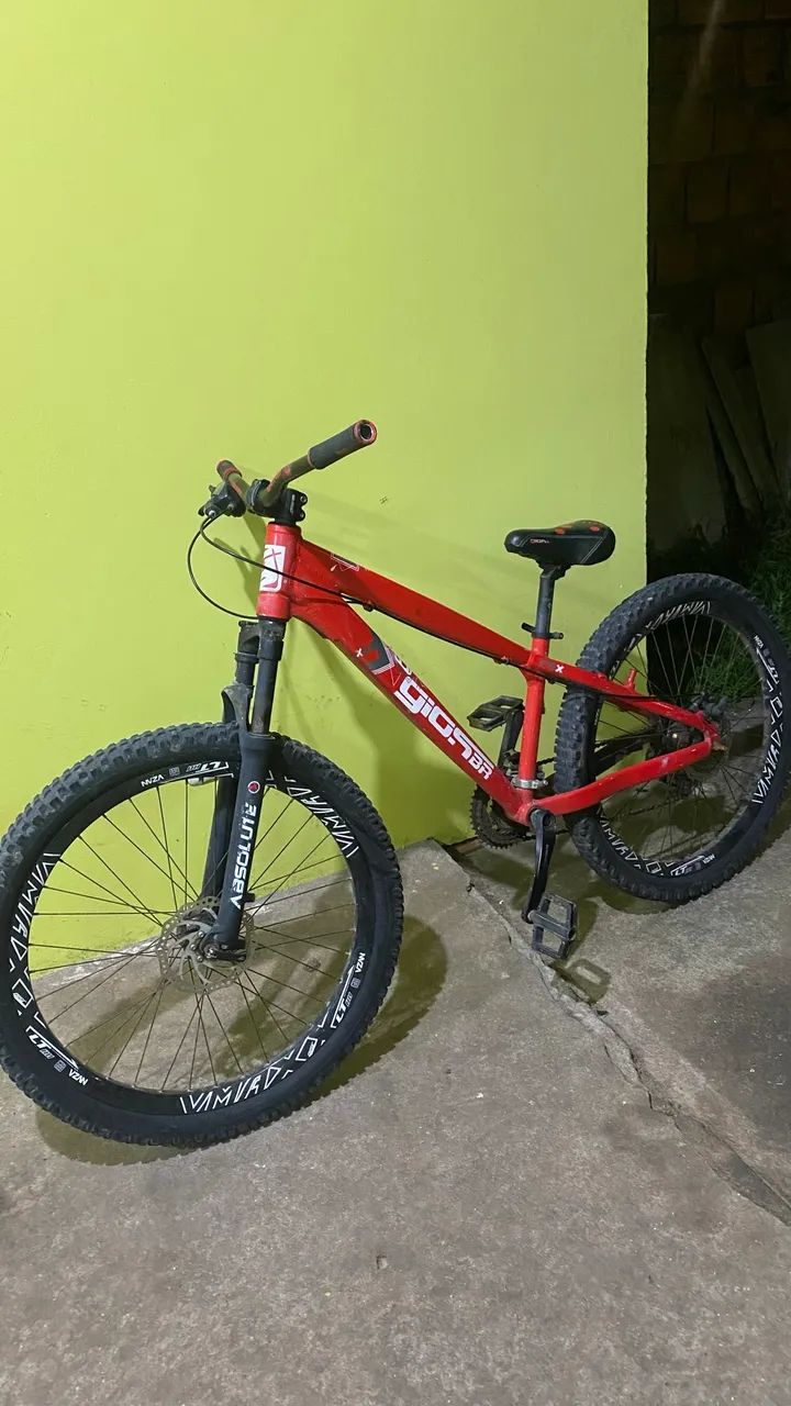 Gios vermelha 2024