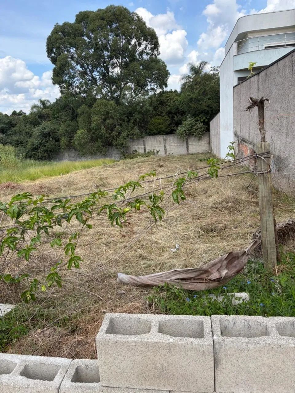 Terreno 514m² - Foto 5