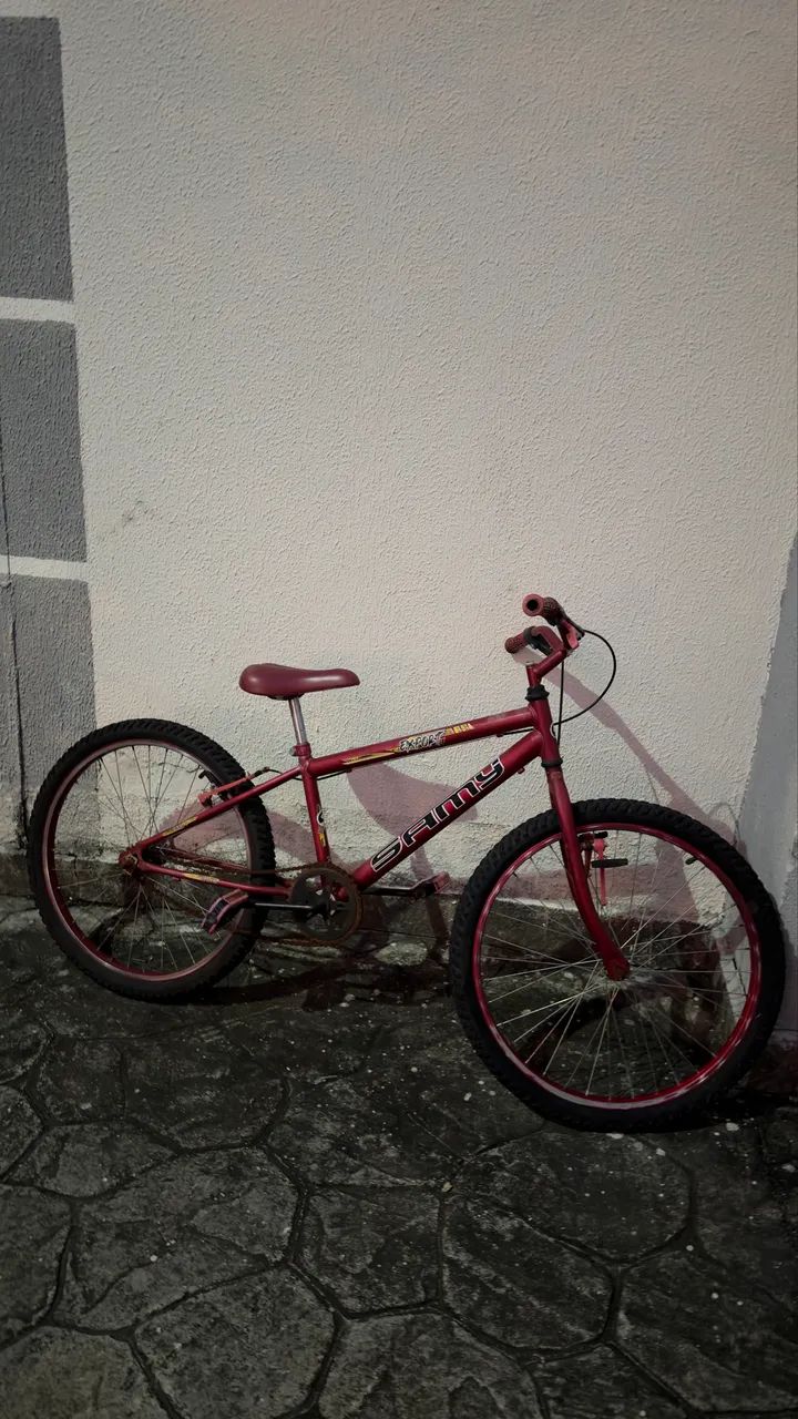 Bicicleta 