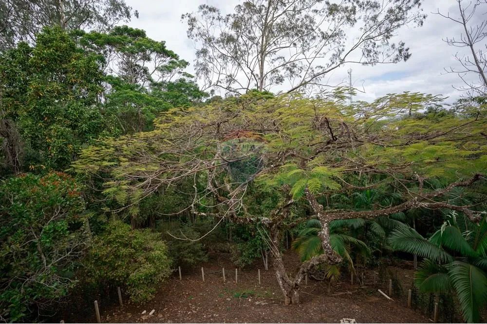 Casa 4 Quartos Centro Pariquera-Açu | 3 Suítes - Foto 4