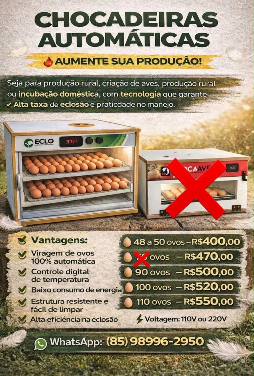Chocadeira  - Foto 3