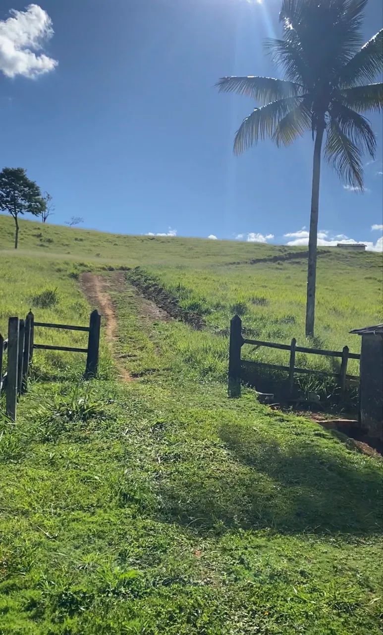 Venda - Foto 2