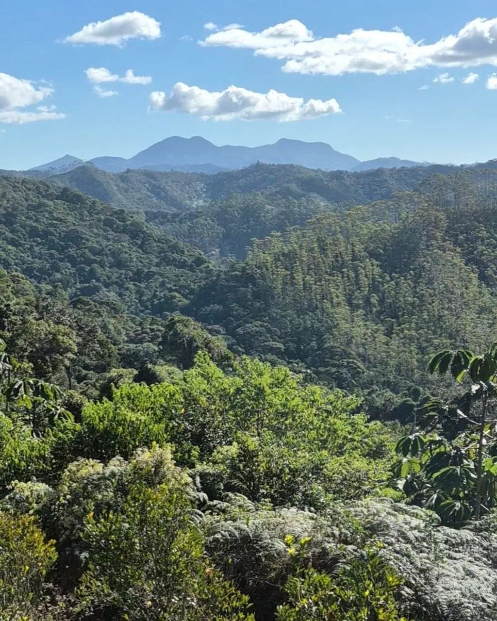 Chácara em Marechal Floriano/ES - Foto 2