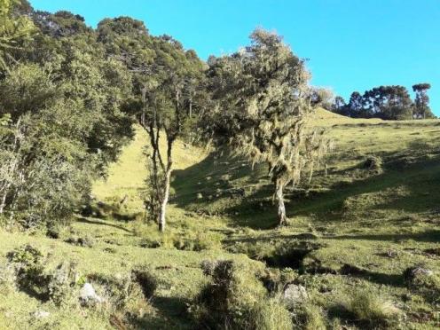 Sitios em Urubici - Foto 7