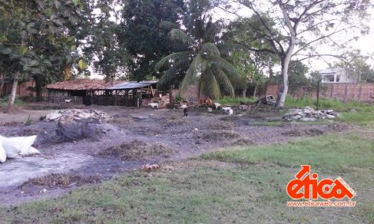 Sítio à venda em Aguas lindas, Ananindeua cod:7684 - Foto 19