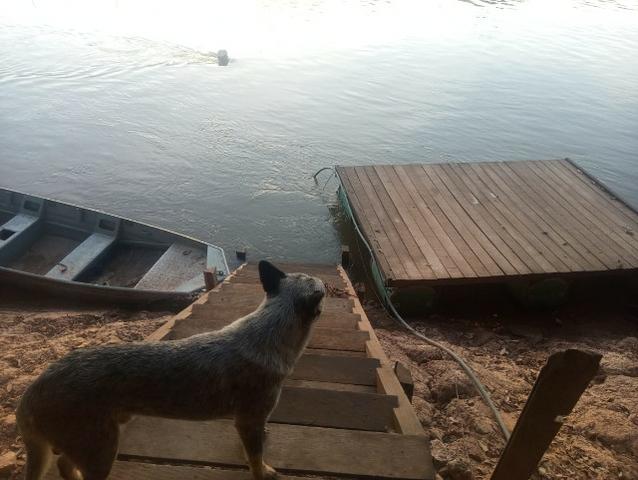 Pesqueiro no pantanal estudo troca - Foto 13