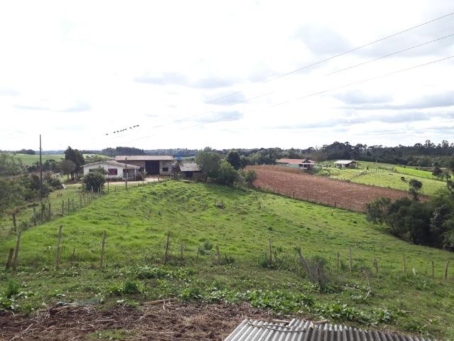 Linda Chácara A 15 Min. do Pinheirinho 14.000 m ²