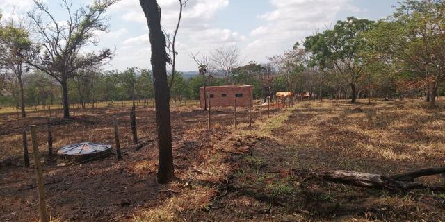 Chácaras em Leopoldo de Bulhoes 2.000 m2 - Foto 6