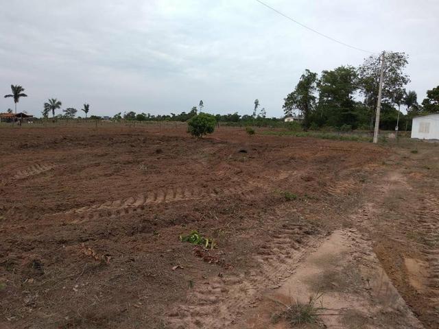 Chacara em nova Mutum R$ 230. 000.00 - Foto 4
