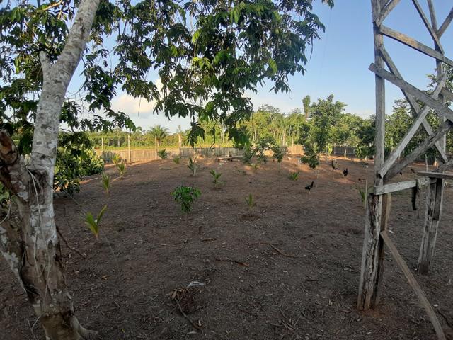 Vendo essa Colônia - Foto 7