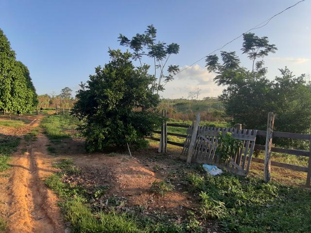 Vendo essa Colônia - Foto 5