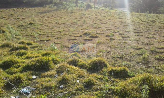 Área, Vila Gilcy, Campo Largo-PR - Foto 10