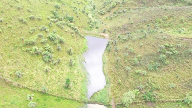 Fazenda ( Vendo ou Troco ) Propriedade Em Teotônio Vilela-AL - Foto 2