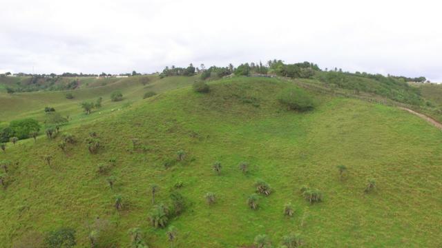 Fazenda ( Vendo ou Troco ) Propriedade Em Teotônio Vilela-AL - Foto 6