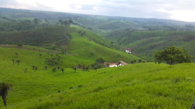 Fazenda ( Vendo ou Troco ) Propriedade Em Teotônio Vilela-AL