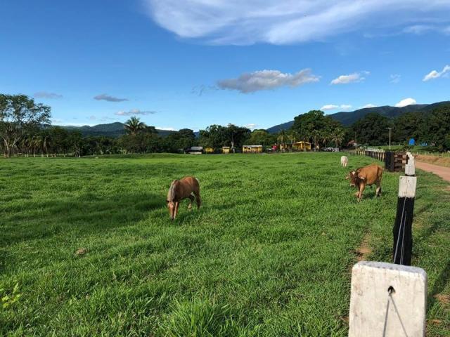 Chácara à venda em Palmeiras, Santo antônio do leverger cod:CH00004 - Foto 17
