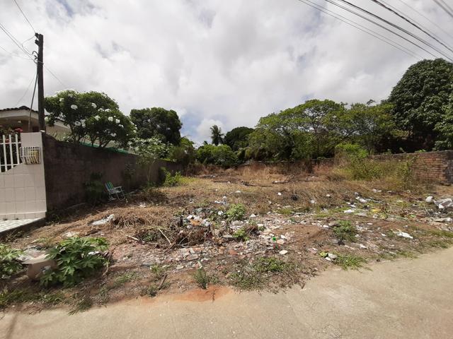 Terreno comercial - Foto 3