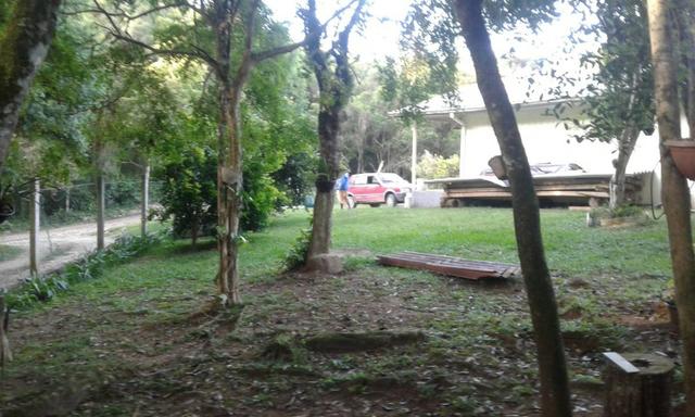 Vende-se chácara em Anta Magra - Quitandinha (cód. A354) - Foto 14