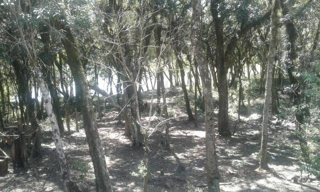 Vende-se chácara em Salso - Quitandinha (cód. A351) - Foto 11