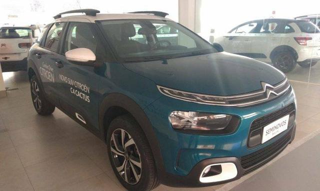 C4 Cactus Shine Aut 2019