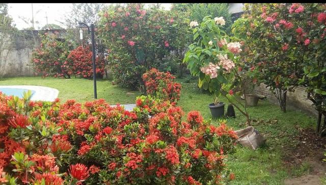 Casa à venda (PREÇO A NEGOCIAR) - Foto 5