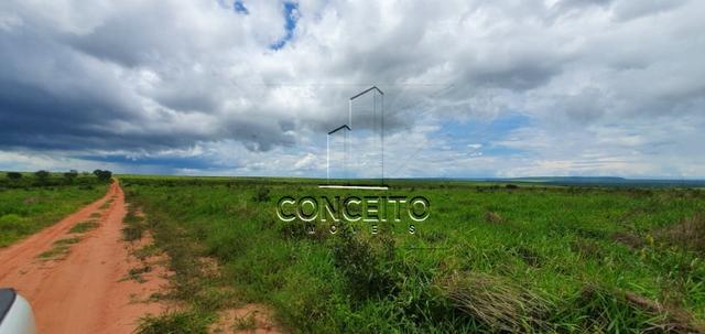 Fazenda na Região de Primavera - Foto 7