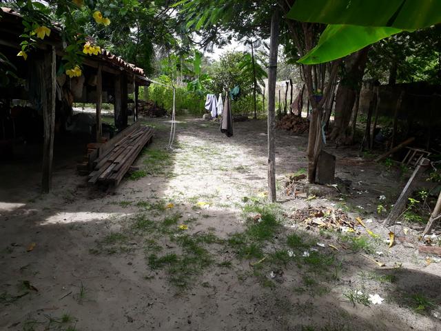 Terreno em barreirinhas - Foto 2
