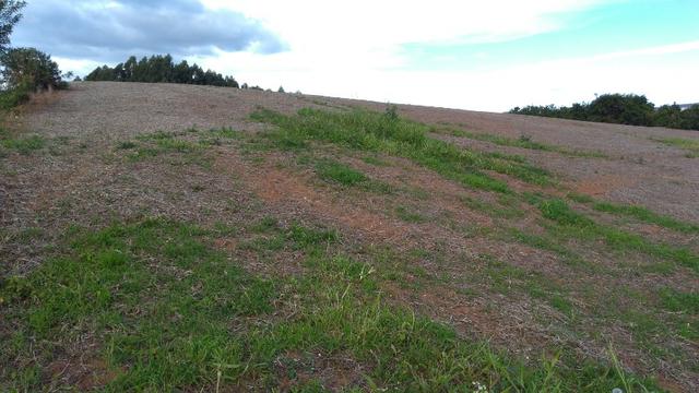 02 Chácaras em Mandirituba de 34.218,84 m² cada - Foto 11