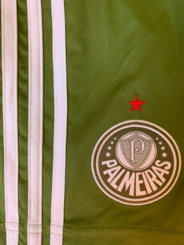 Palmeiras G novo  - Foto 4
