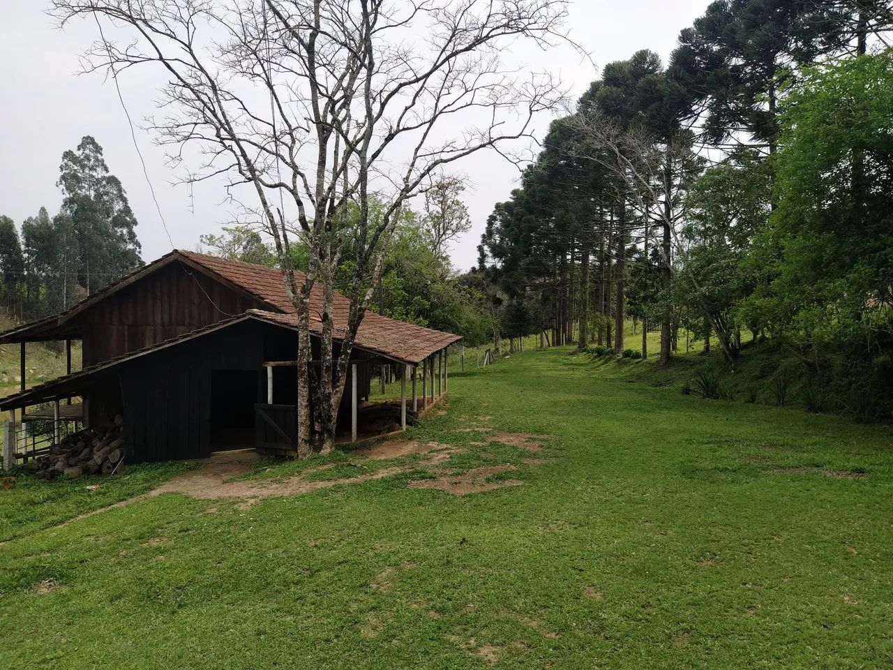 Sítio, Ribeirão Branco  - Foto 5