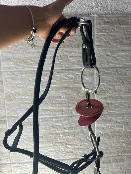 Sela de Montaria em Couro - Foto 4