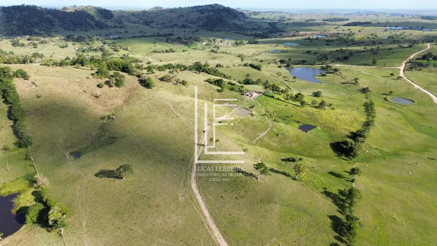 Excelente fazenda com 186 tarefas no município de Maribondo-AL.