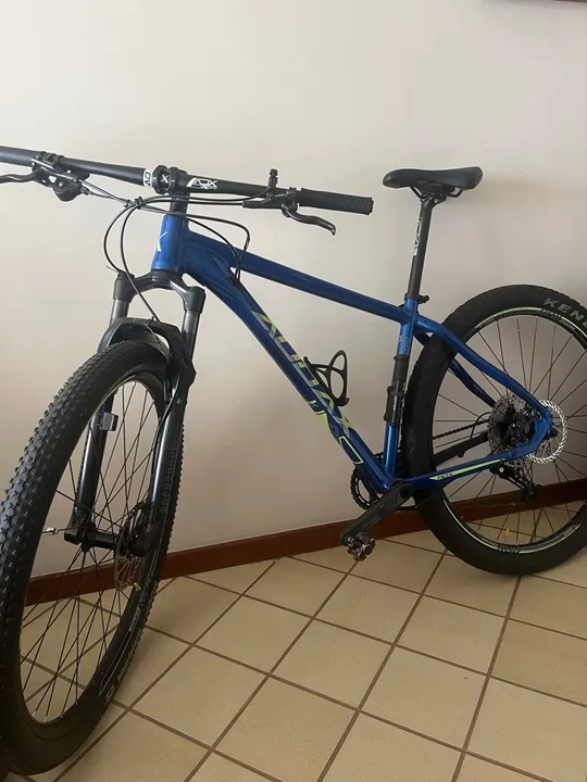 Audax RDX 300 quadro 17