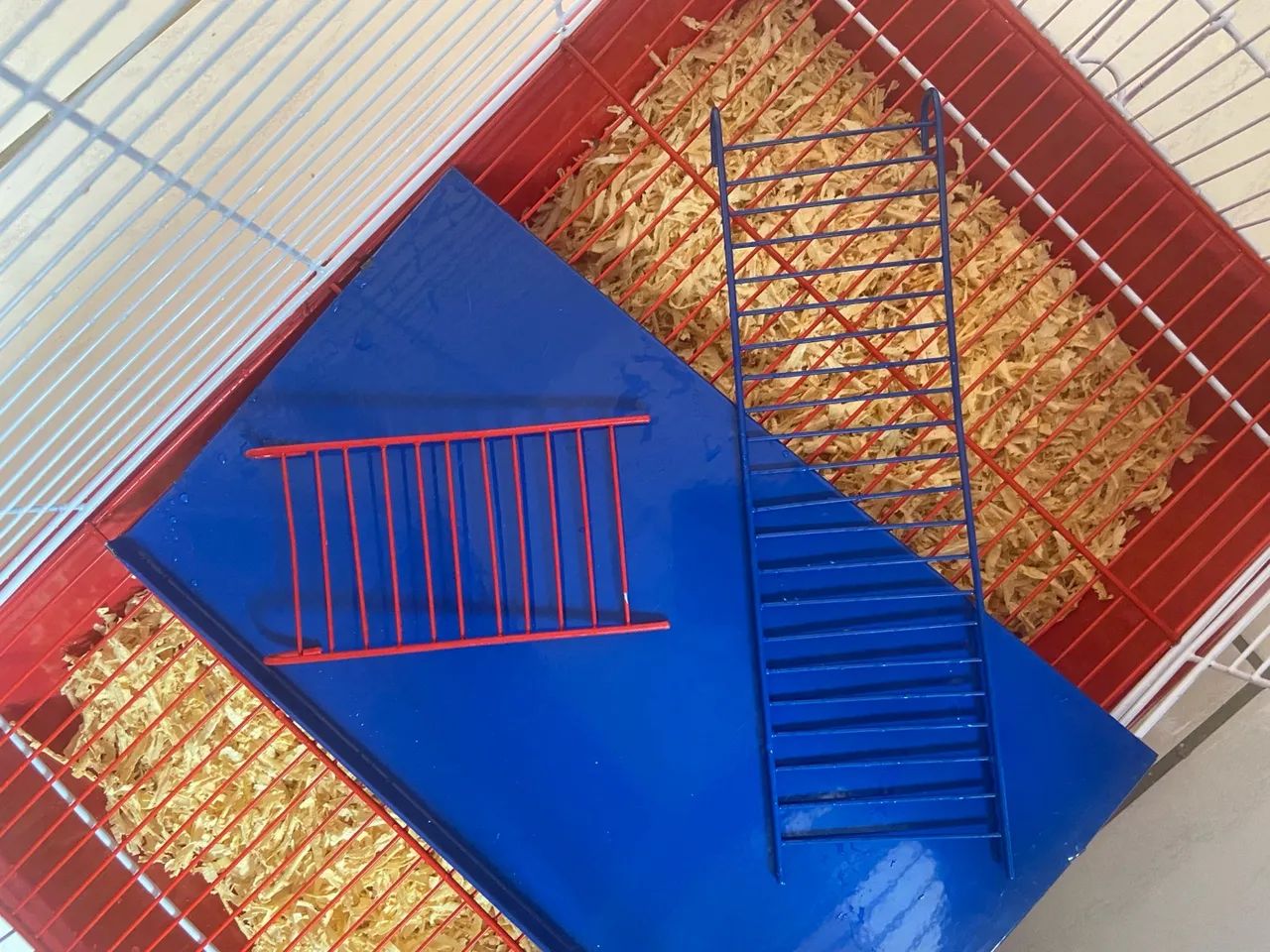 Gaiola em perfeito estado  - Foto 2