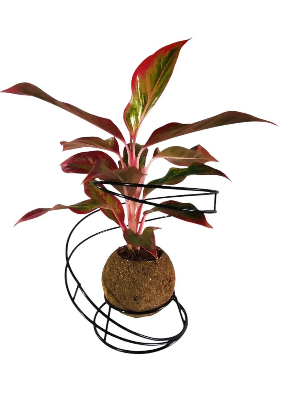 Suporte modelo aspiral