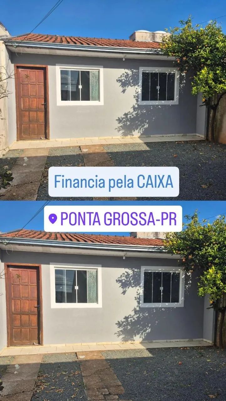 Foto - Ponta Grossa - Cará-cará