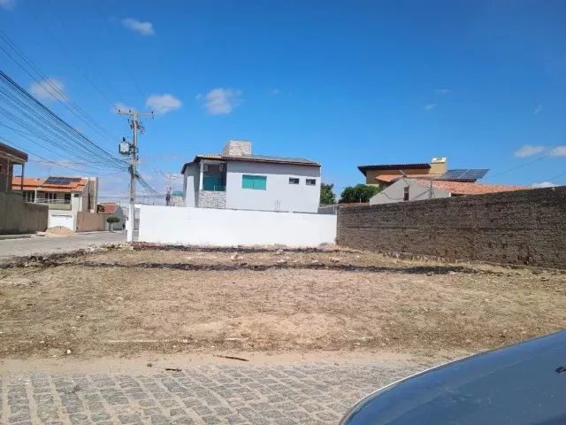 Foto - Juazeiro - Cajueiro