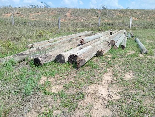 Madeira - Postes tratados