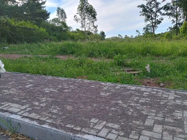 Terreno/sítio dentro da cidade - Foto 5