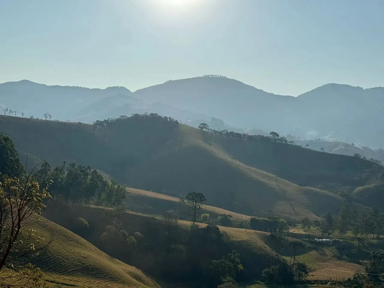 VENDA  Sítio de 50 hectares em Pintos dos Negreiros!!! - Foto 3