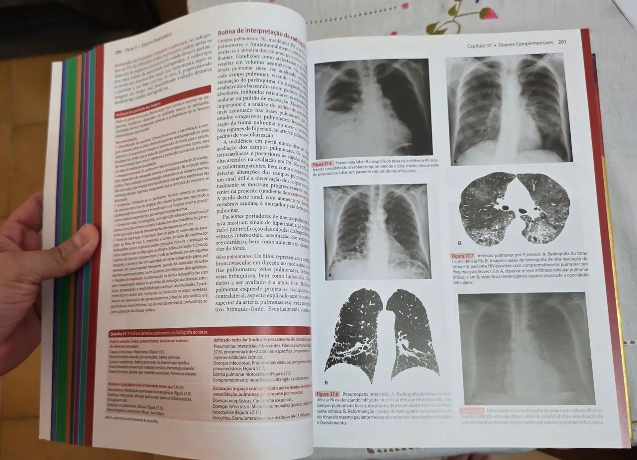 Semiologia Médica Porto & Porto - 8ª Edição - Foto 3
