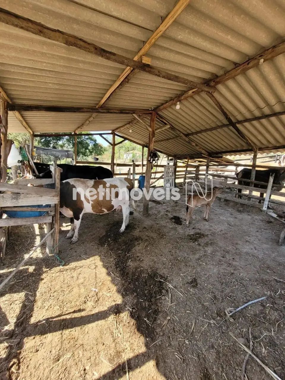 Lindo Sítio em Desterro de Entre Rios com 6,5 Hectares