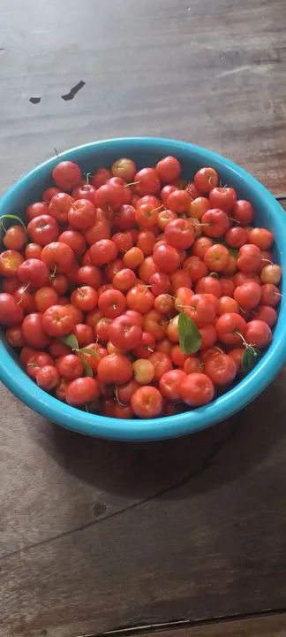 Vendo acerolas na bacia - Foto 3