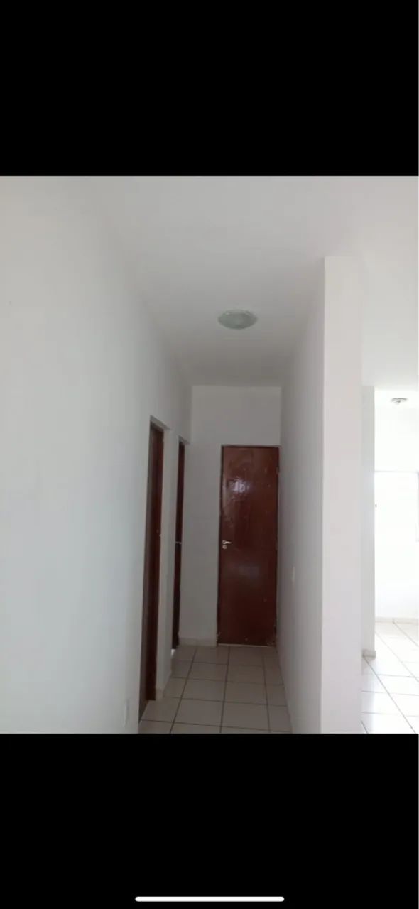 Foto - Belém - Coqueiro