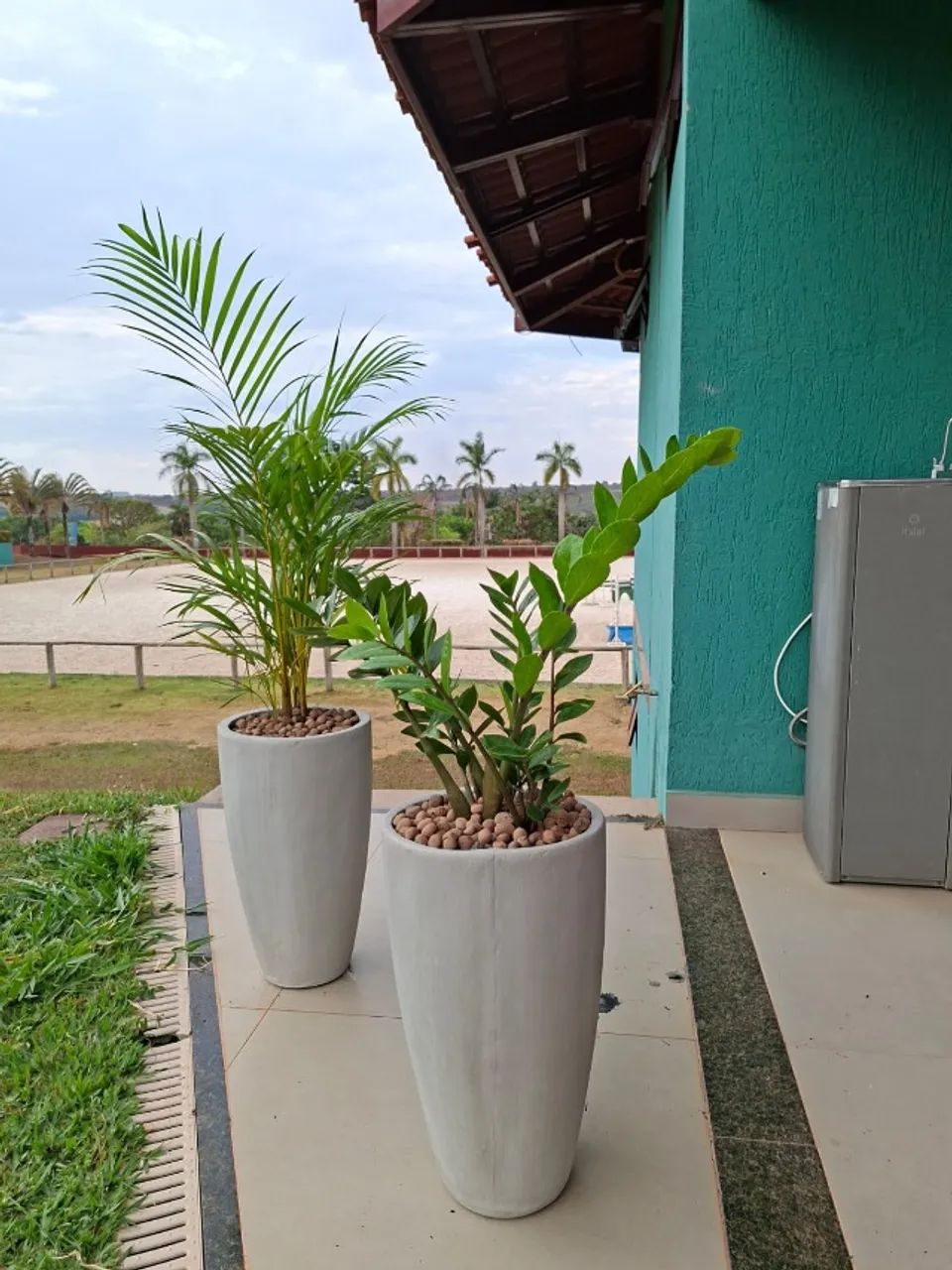Vasos e plantas - Foto 4