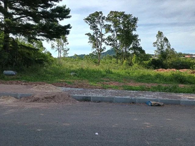 Terreno/sítio dentro da cidade - Foto 3